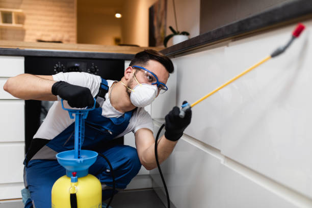 Best Exterminator Services  in University Place, WA