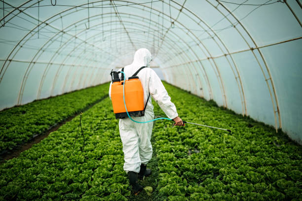 Best Residential Pest Control  in University Place, WA