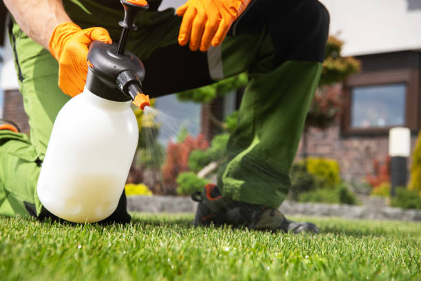 Trusted University Place, WA Pest Control Experts