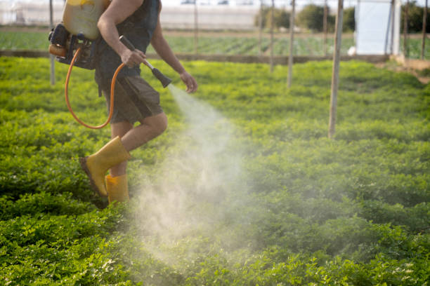 Pest Prevention Services in University Place, WA