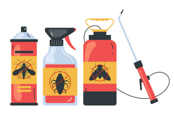 Flea Control Services in University Place, WA